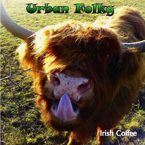 Urban folky - rock celtique